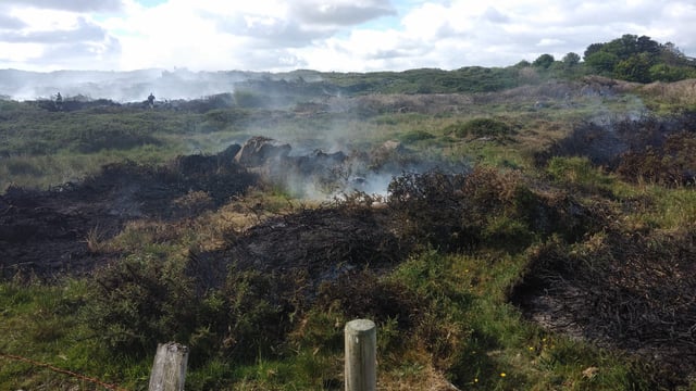Galway man fined and banned from driving after illegal burning