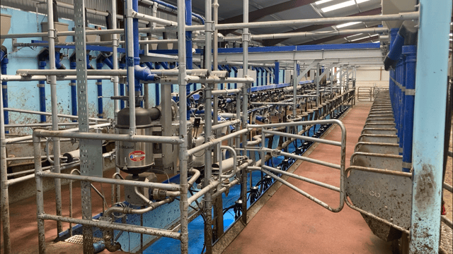 Buildings Focus: Milking 215 cows in a new 24-unit parlour in Tipperary