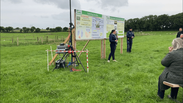 Cost of a ewe replacement is equivalent to 25% of her lifetime lamb output