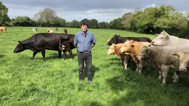IGA event to discuss reducing fertiliser on suckler farms