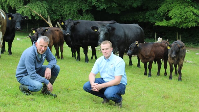 Synchronisation is opening up new horizons for suckler farmers