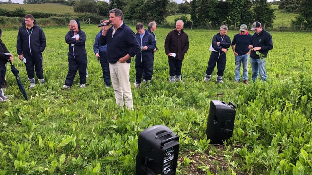 Beef Focus: 'Growing multi-species swards requires a total mindset change'