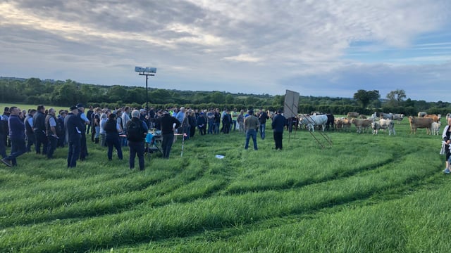 Home-produced nitrogen draws farmer interest at IGA beef event