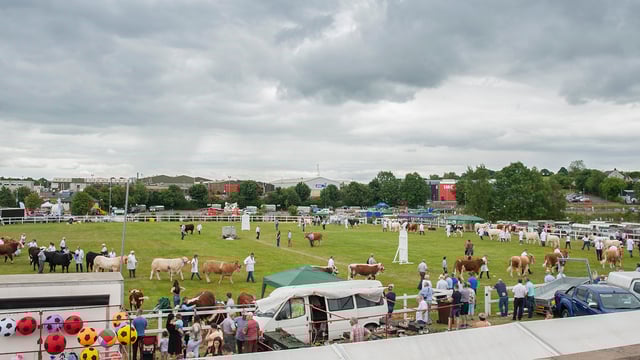 Omagh Show set for return in July after Covid-19 pandemic