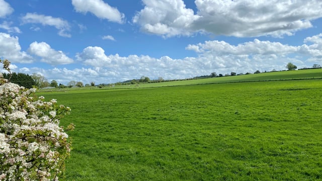 Over 220ac of south Kildare lands set for auction