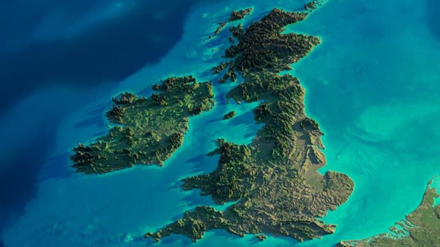 IBLA calls for imports to cease following suspected UK foot and mouth case