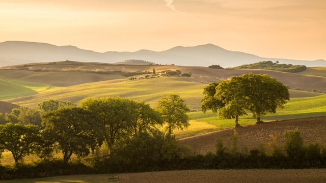 EU Commission sanctions €180m Italian agri support scheme