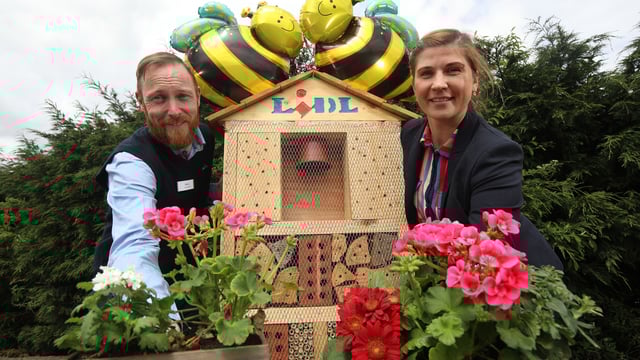 Lidl installs five new pollinator gardens at NI stores