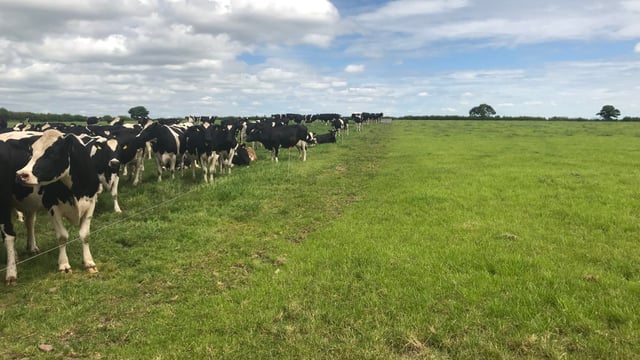 Dairy exit scheme 'would restrict growth of farms not in scheme'