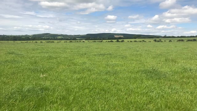 ACRES: 'We are looking under the hood and pushing to the limit'