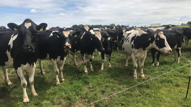DAFM: Derogation application/banding declaration portals open