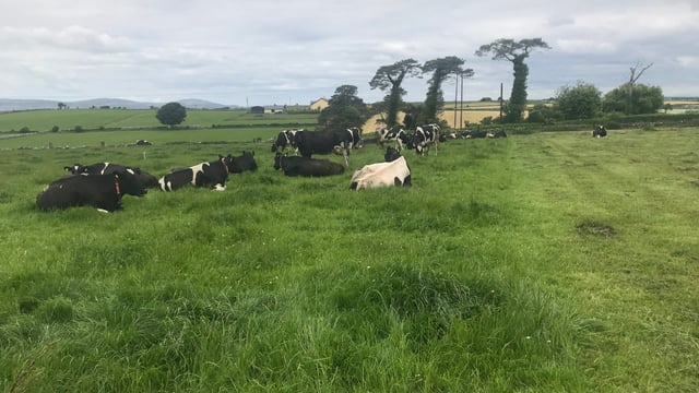 Dairy Focus: 'Winter milk is a system that's not working'