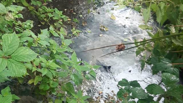 'Pit not fit for purpose': Farmer fined for polluting river with silage effluent