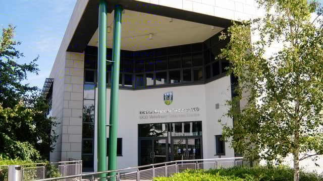 UCD veterinary medicine school appoints new dean