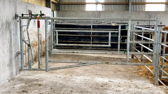 Getting calving and calf rearing facilities ready for autumn calving