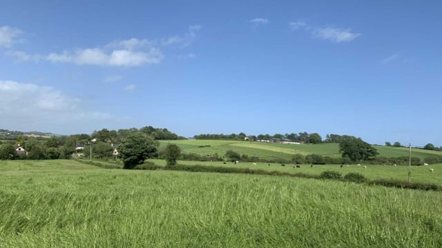 'Exceptional' holding at Camolin for online auction