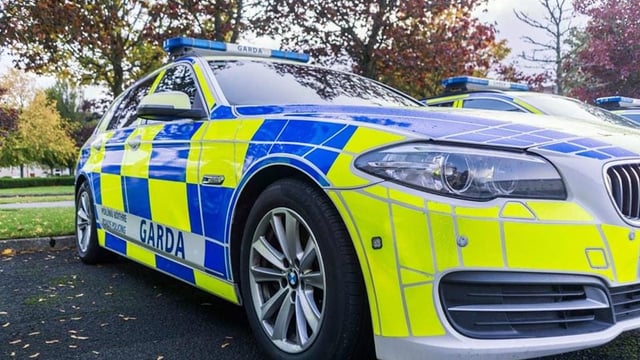 Around 25 pedigree sheep killed in dog attack in west Kerry