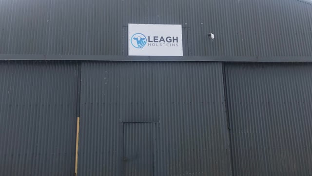 Dairy Focus: A passion for pedigree breeding at Leagh Holsteins
