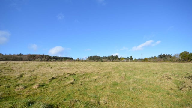 13ac roadside holding among properties for sale in Wexford