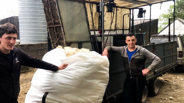 Video: 2022 sheep shearing gets underway in Co. Cavan