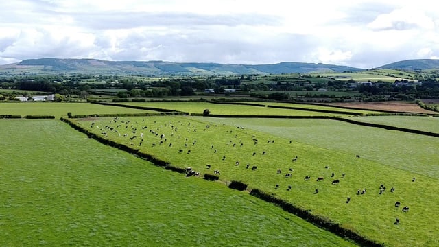 Hackett: New climate friendly opportunities could boost farmer incomes