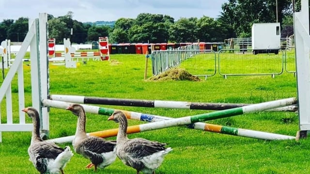 Cappamore Show-stopper: Back with a bang to celebrate 66 years