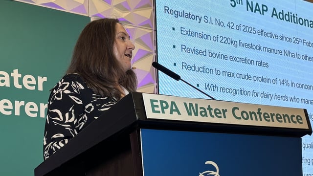 Watch: 'Unprecedented' engagement across industry as derogation decision looms