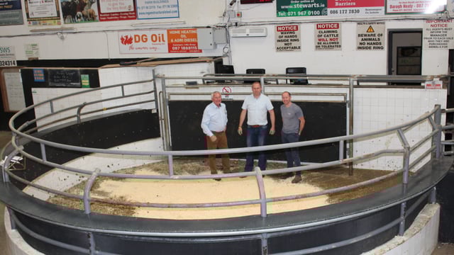 New assistant manager appointed at Elphin Mart