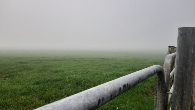 Met Éireann issues Status Yellow warning for 'dense fog'