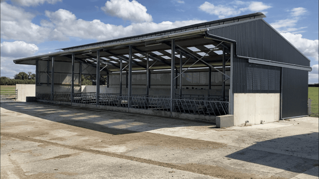 Buildings Focus: 6-bay slatted shed for Kilkenny suckler-to-beef farm