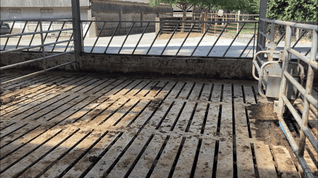 Condition of slats and manhole covers: Are they fit for purpose?