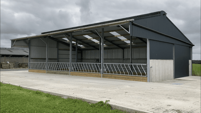 Buildings Focus: 4-bay slatted shed in Sligo for suckler-to-beef farm