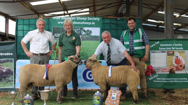 Prices at Vendéen premier show and sale top €1,100