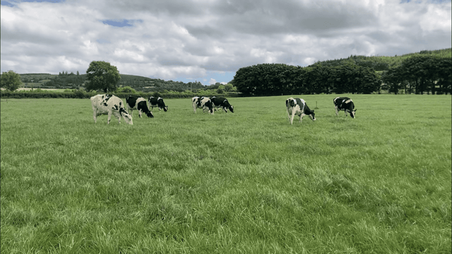 'We grew the same grass with the soiled water as if we had spread nitrogen'