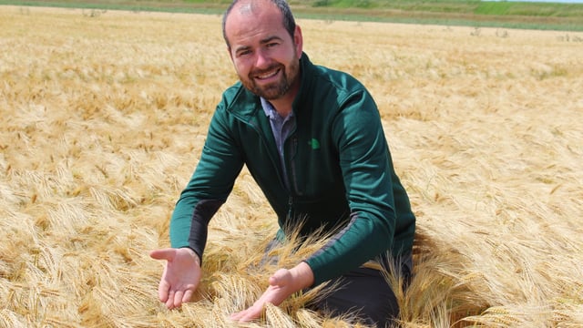 What constitutes the effective management of straw?