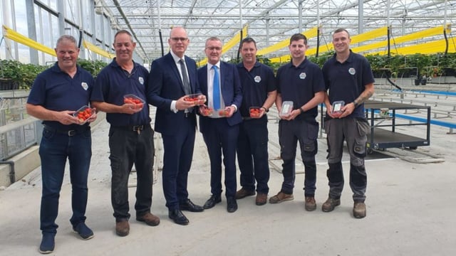 Horticulture: 'Severe pressure' on growers outlined to Coveney at meeting