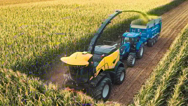 'Exceptionally high' starch levels claimed in 2025 forage maize crops