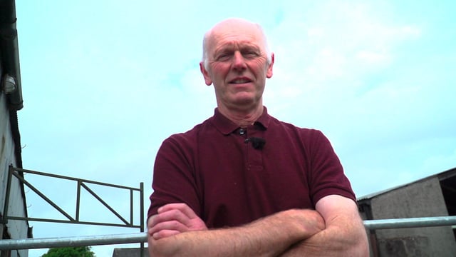 Milk pregnancy testing transforms breeding for Meath farmer