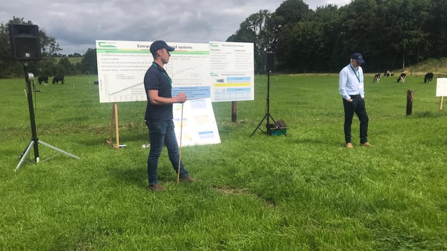 Beef farmers could be paid to take dairy calves in future
