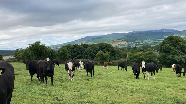 UFU visits ABP demo farm to explore methane reduction research