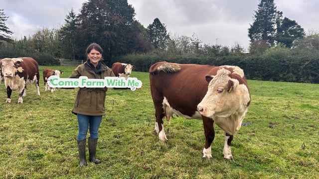 Agri Aware to host Come Farm With Me 'bumper' webinar