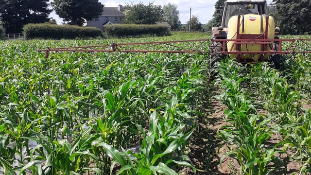 Circular nitrogen potential explored in new research