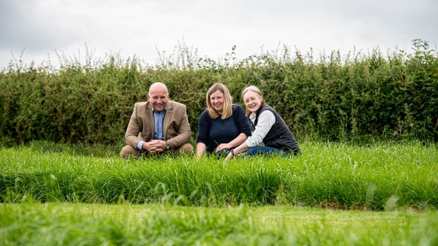 Tollymore and Crossgar - two new grass varieties from AFBI