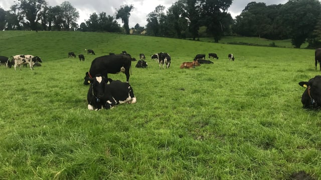 Breeding: Time to start recording heats