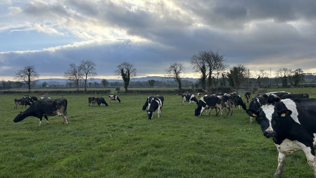Grass growth improves and time for sulphur in swards