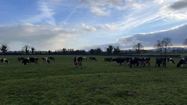Breeding: Improving genetics and milk solids on farm