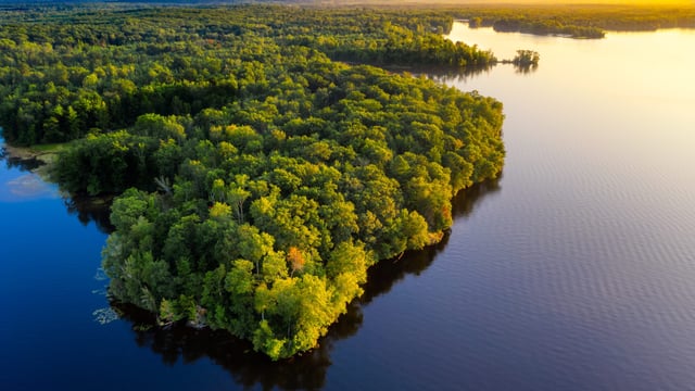 Earth Overshoot Day: Half of earth's biocapacity used for food production