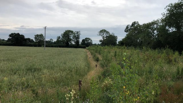 ACRES: Six arable actions receive deadline extension