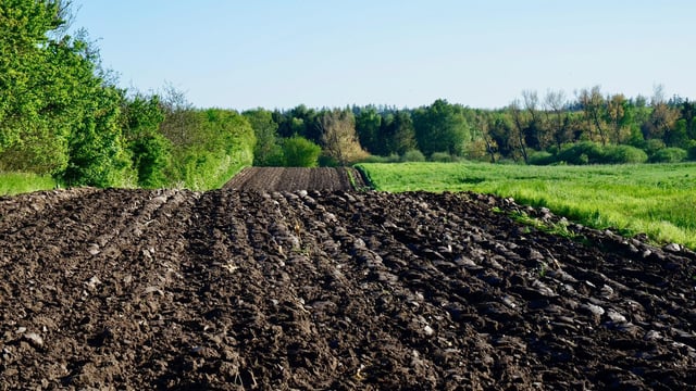 CSO: 58,645ac of agricultural land sold in 2021