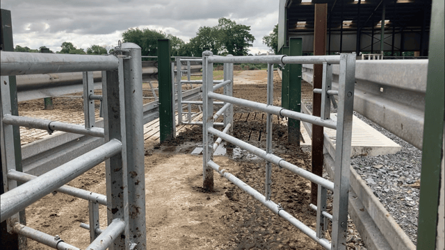 £1bn for UK biosecurity centre to tackle animal diseases